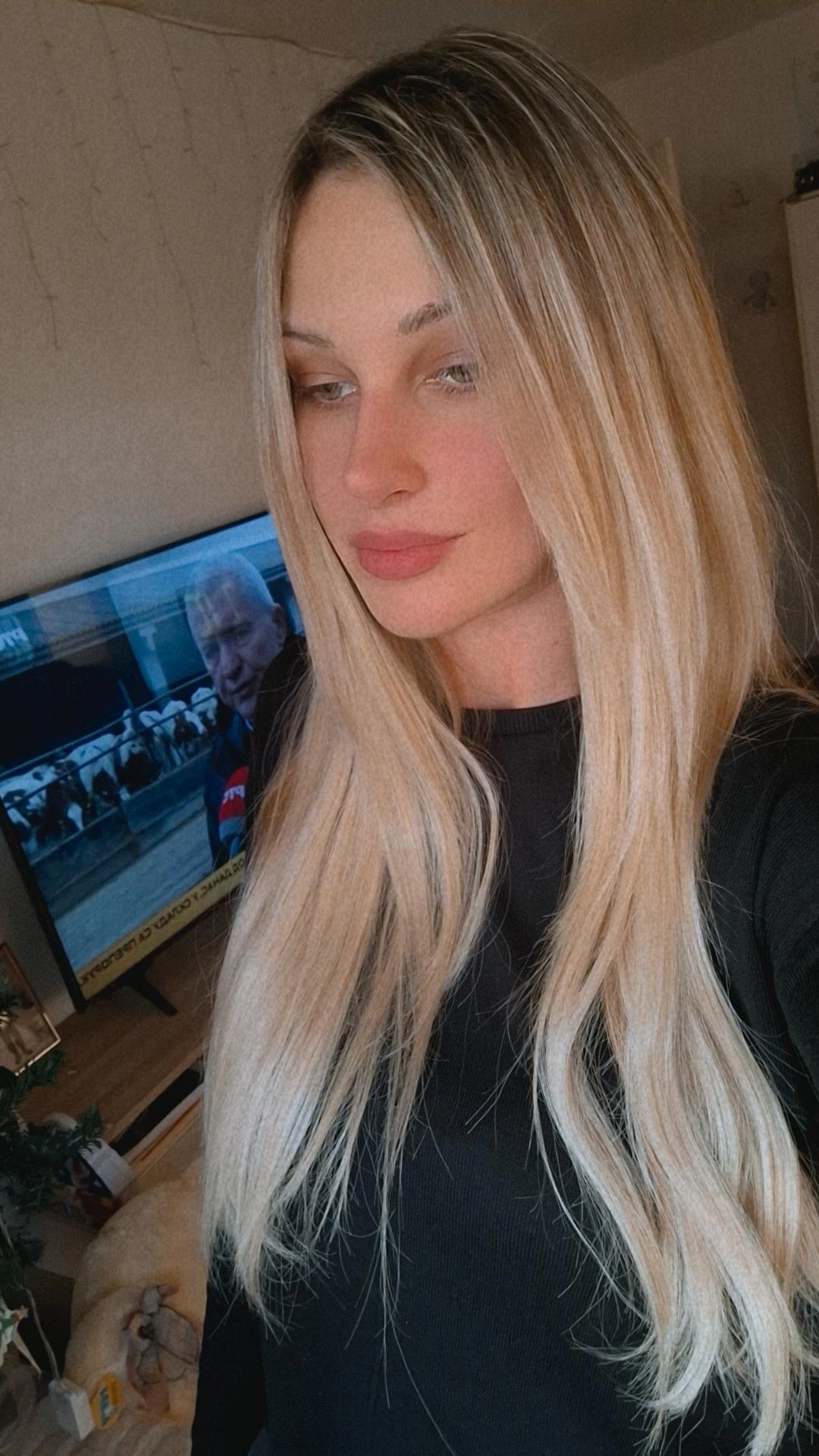 Šampanjac / Srednje Plava │Ravna │65cm │U Klipse photo review