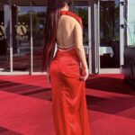 Mahagoni │Opuštena kovrča │80cm │Rep na mrežicu photo review